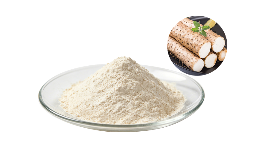 Chinese Yam Extract